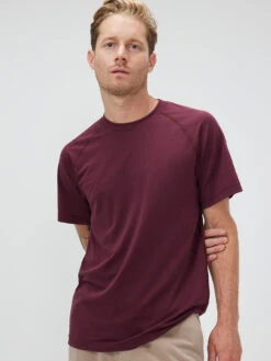 FastTrack Mesh Shortsleeve -Daily Fit Wear Shop M301453 SMS SRZ Fast Track Shortsleeve Shiraz 064 Rehywst