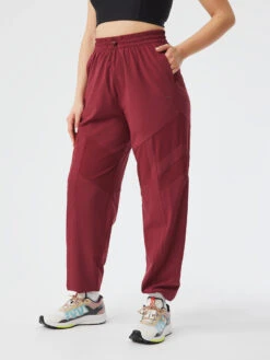 Relay Pant 12 Relay Pant -Daily Fit Wear Shop W701817 REC BYB Relay Pant Boysenberry 082 4pCEfND