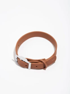 Wild One Collar 9 Wild One Collar -Daily Fit Wear Shop WO VM Studio Collar Cocoa 02 4x5 Print 6XDmlE6