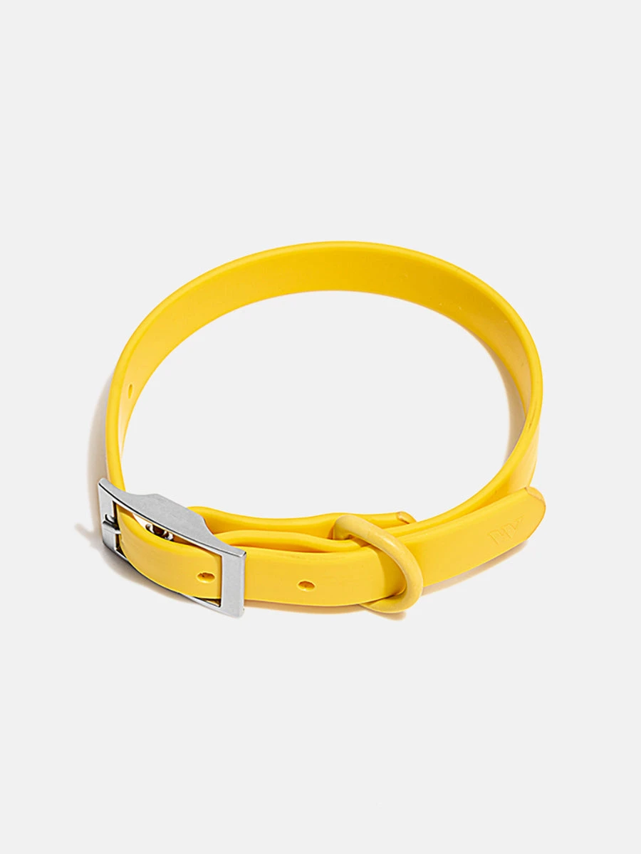 Wild One Collar 3 Wild One Collar