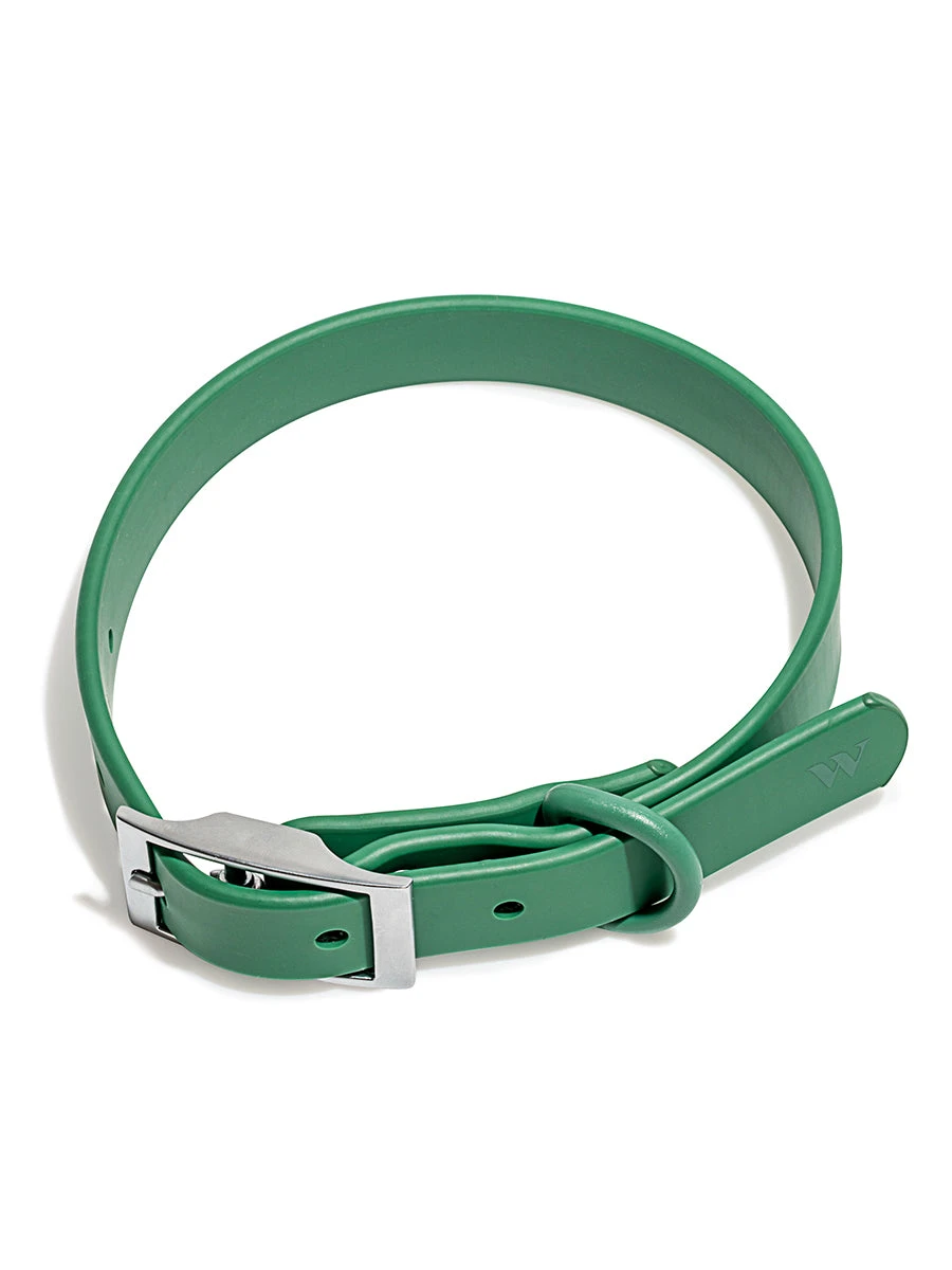 Wild One Collar 5 Wild One Collar - Image 3