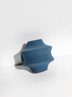 Wild One Twist Toss Dog Toy